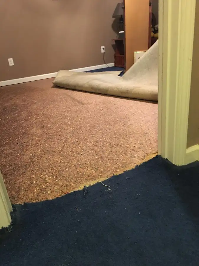 Carpet pad removal revealing water damage during Water Mitigation Services in Celina