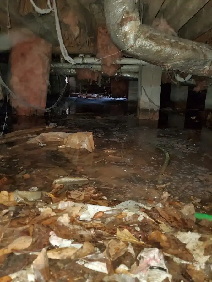 Crawl space flood assessment for Leak Detection & Repair in Celina