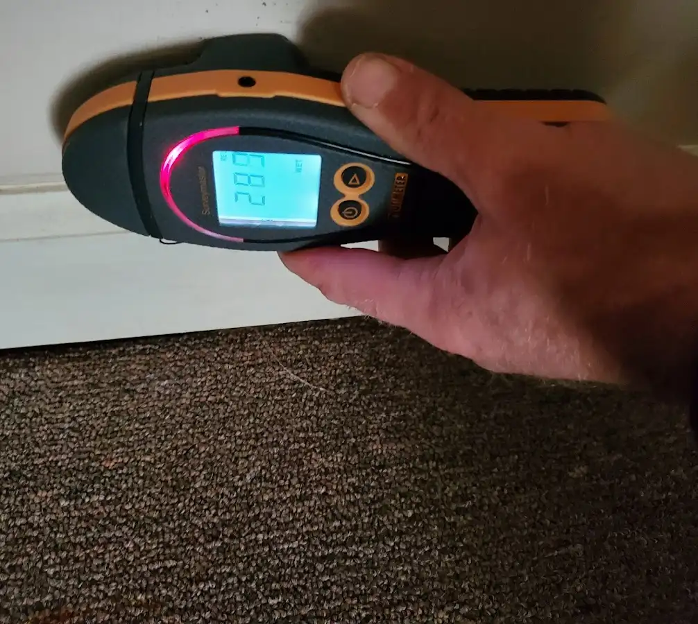 Moisture detection at baseboard during Sewage Cleanup & Sanitation in Celina